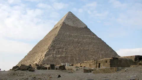 新西兰成世界杯扩军最大赢家：附加赛告别，直通资格在即